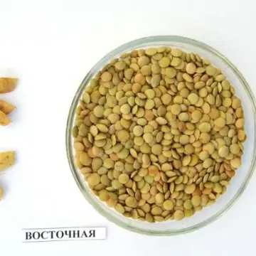Восточная