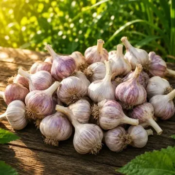 Елизар