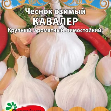 Кавалер