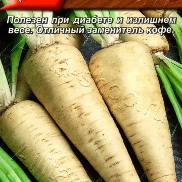 Петровский