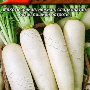 Дракон