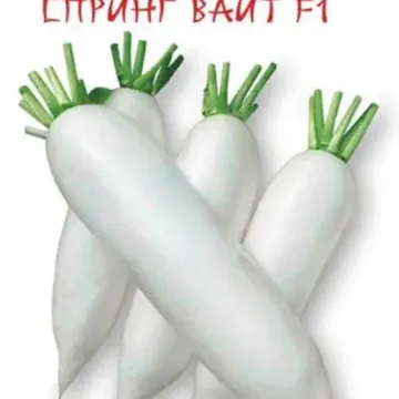 Спринг Вайт