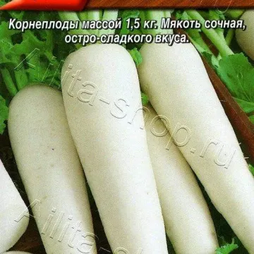ЗУБ Дракона