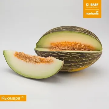 Кумара