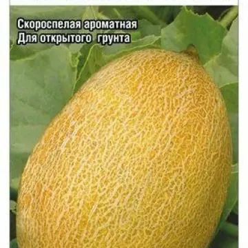 Любава