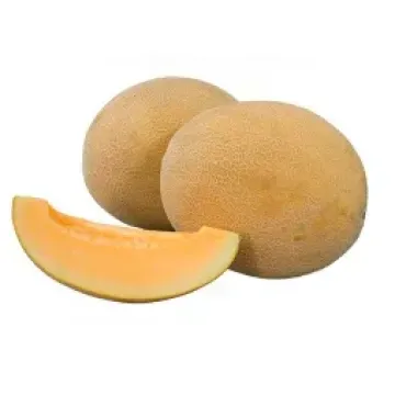 Робаст F1