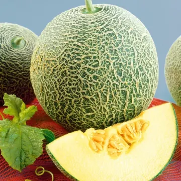 Славия