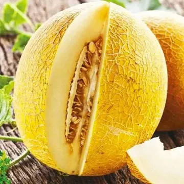 Титовка