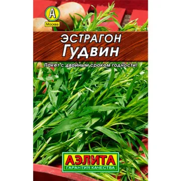 Гудвин