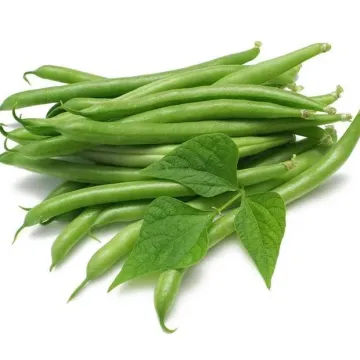 Dzhina