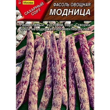MODNITSA