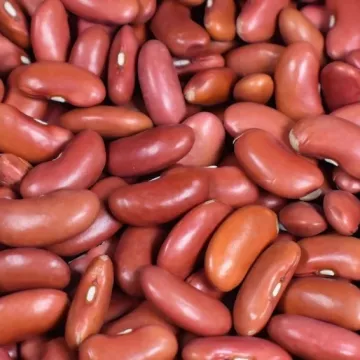 Подолянка