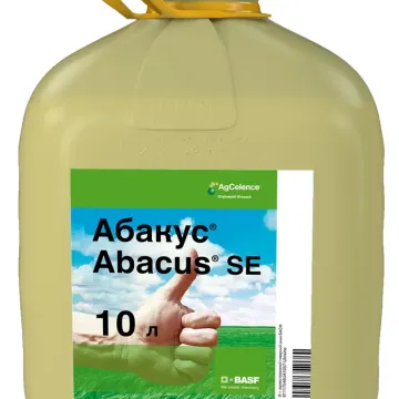 Абакус