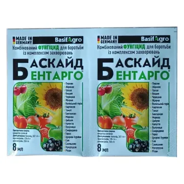 Баскайд