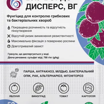 Блу Бордо Дисперс