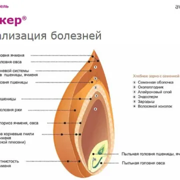 Бункер