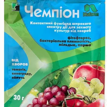 ЧЕМПИОН®