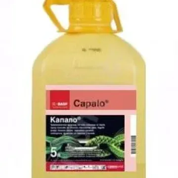 Kapalo