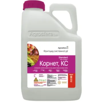 Корнет