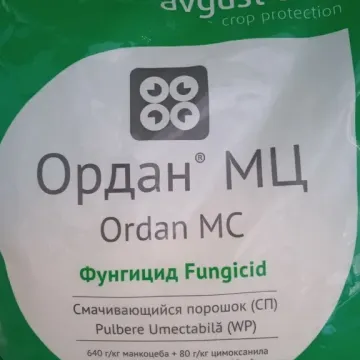 Ордан МЦ