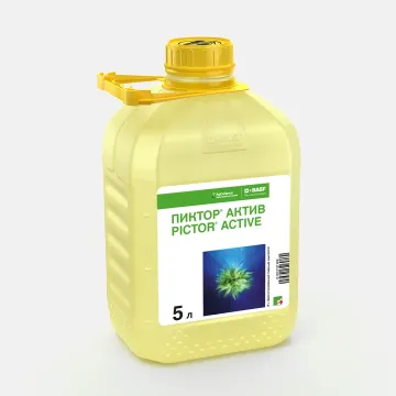 Пиктор Актив