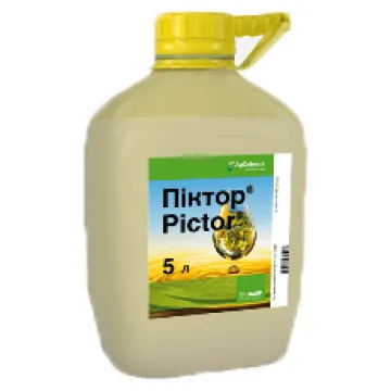 Пиктор® Топ