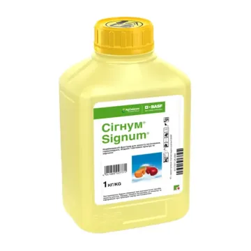 Сигнум