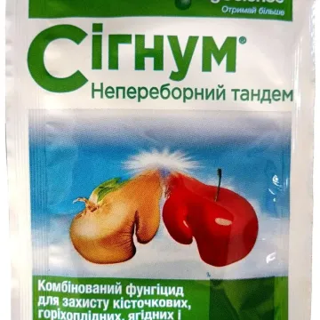 СИГНУМ в.г.