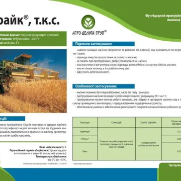 Страйк