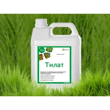 Тилат