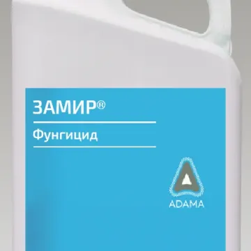 Замир 400