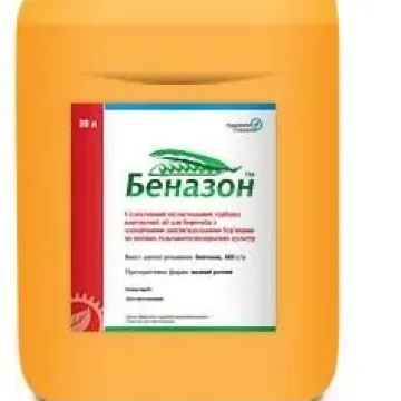 БЕНАЗОН, РК