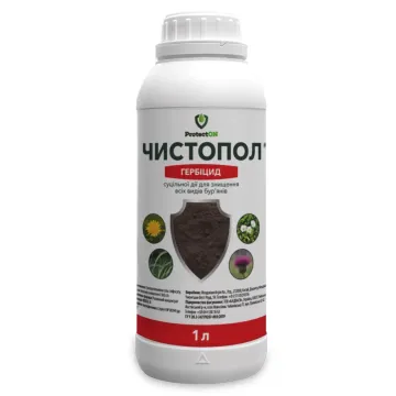Чистопол