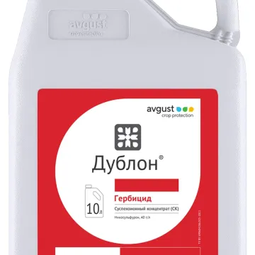 Дублон