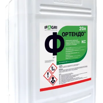 Фортендо Р