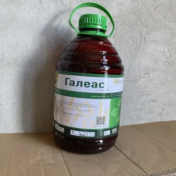 Галеас