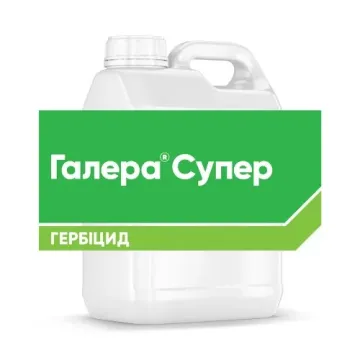 ГАЛЕРА Супер, РК