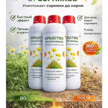 Глиф БТ
