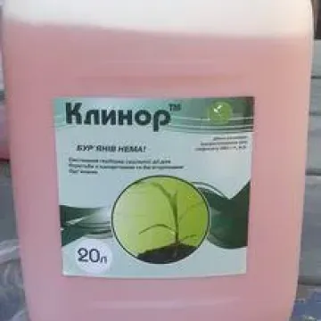 Клинор