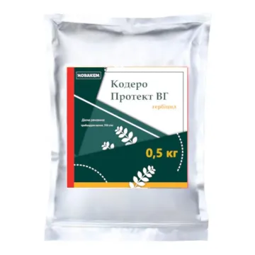 Кодеро Протект