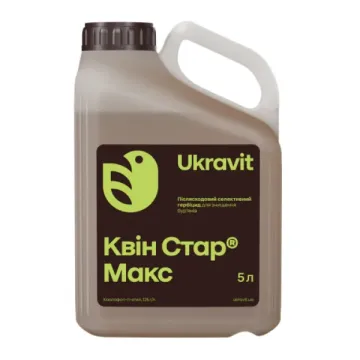 Квин Стар Макс