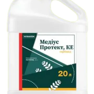 Медіус Протект