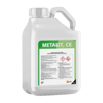 Метабит (Metabeet)