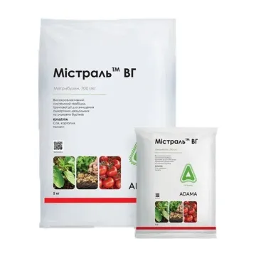 Мистраль