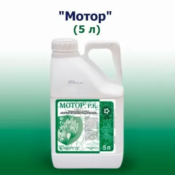 Мотор