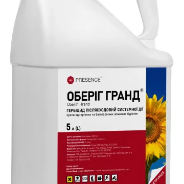 Обериг
