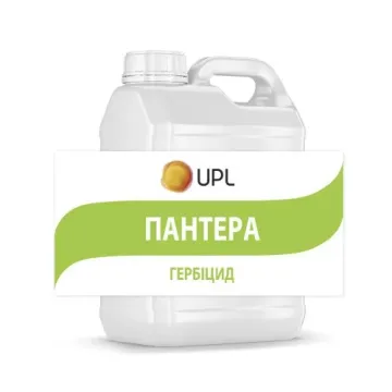 Пантера