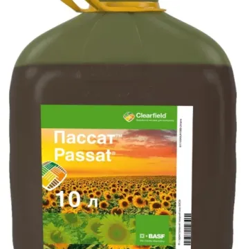 Пассат