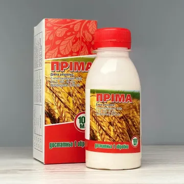 Прима