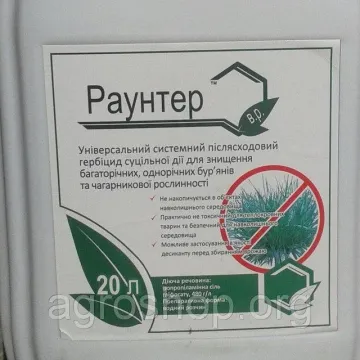 Раунтер